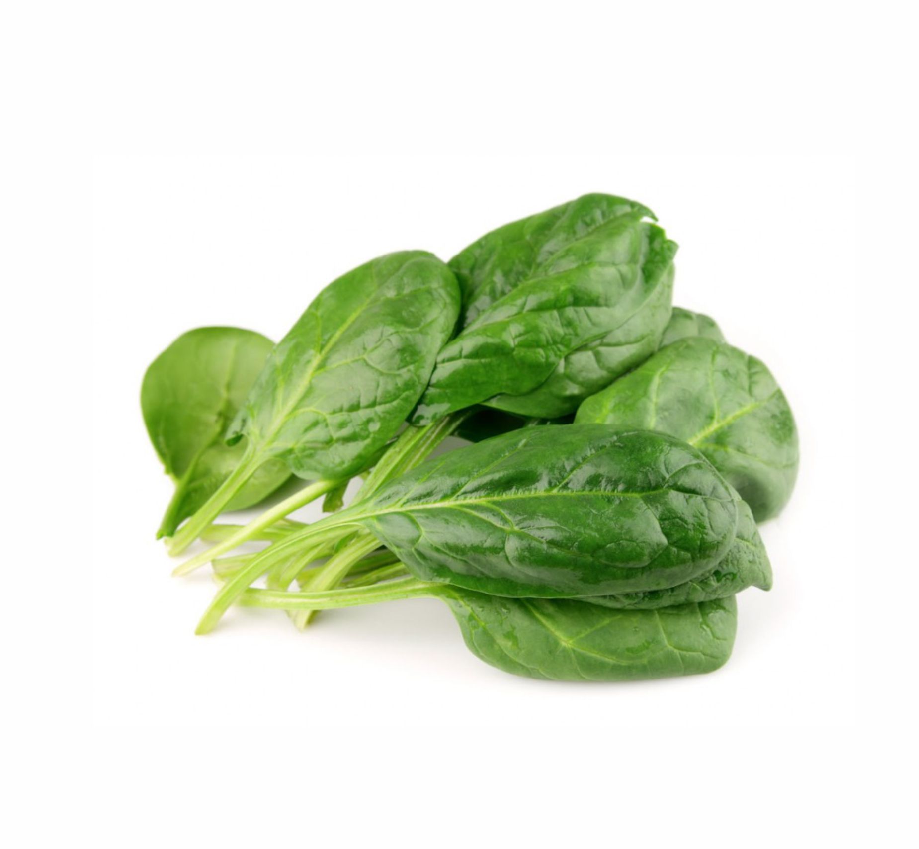 ШПИНАТ /ВЕС