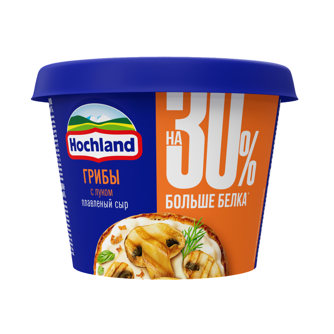 БЗМЖ СЫР ХОХЛАНД ПЛАВЛЕНЫЙ 230ГР ГРИБЫ С ЛУКОМ