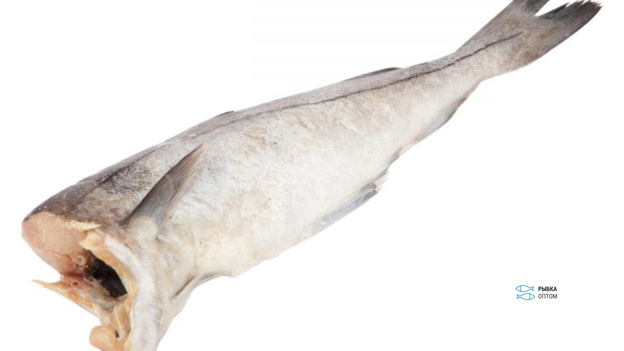 ПИКША ПОТР Б/Г ВЕС ПИКША ПОТР Б/Г ВЕС