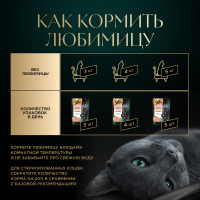 КОРМ Д/КОШЕК ШЕБА ПЛЕЖЕР ФОРЕЛЬ/КРЕВЕТКИ ПАУЧ 75ГР