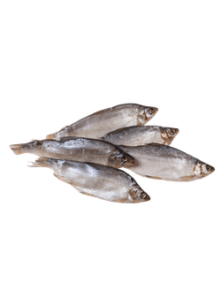 РЫБА ВОБЛА ВЯЛ ЭЙС /ВЕС