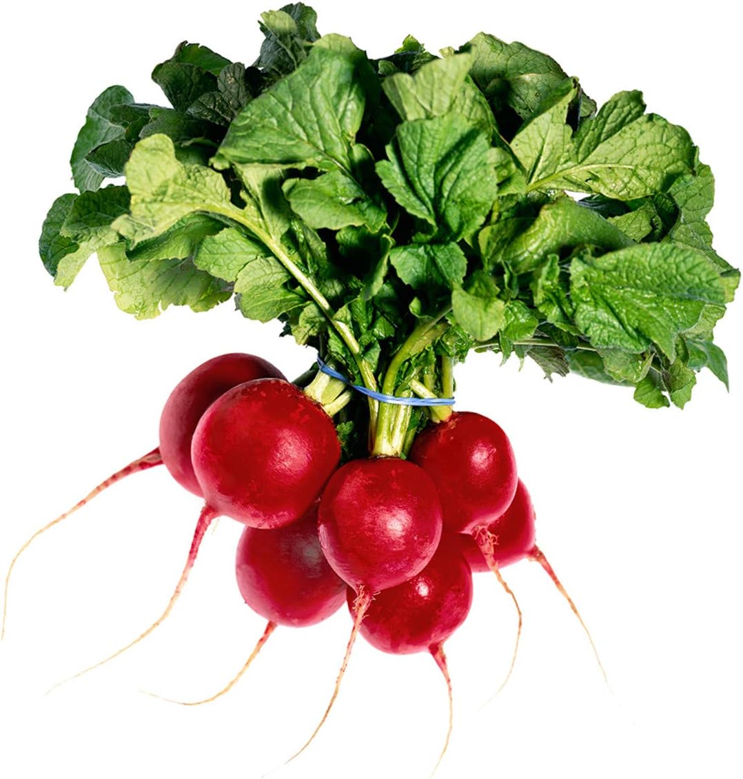 РЕДИС (ПУЧОК) 1ШТ