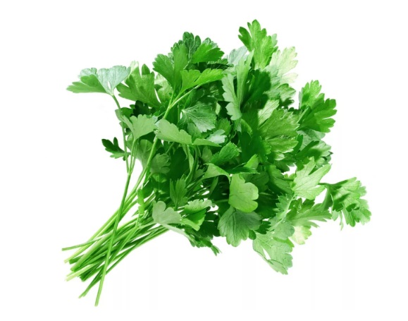 ПЕТРУШКА /ВЕС