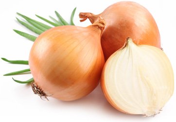 ЛУК РЕПЧАТЫЙ /ВЕС