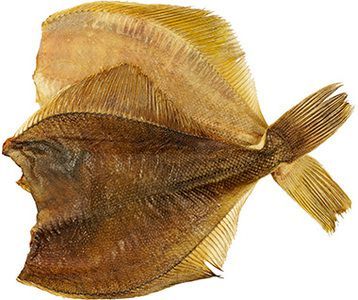 РЫБА КАМБАЛА Х/К Б/Г/ ЭЙС