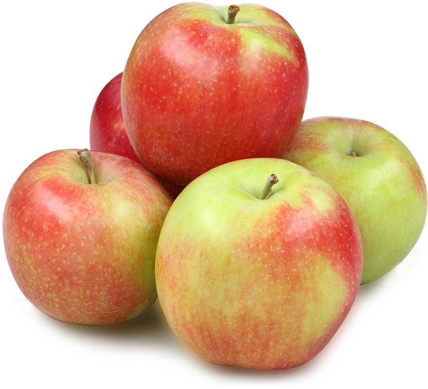 ЯБЛОКИ СЕЗОННЫЕ /ВЕС