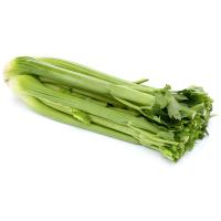 СЕЛЬДЕРЕЙ СТЕБЛЕВОЙ /ВЕС