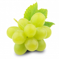 ВИНОГРАД КИШ МИШ БЕЛЫЙ