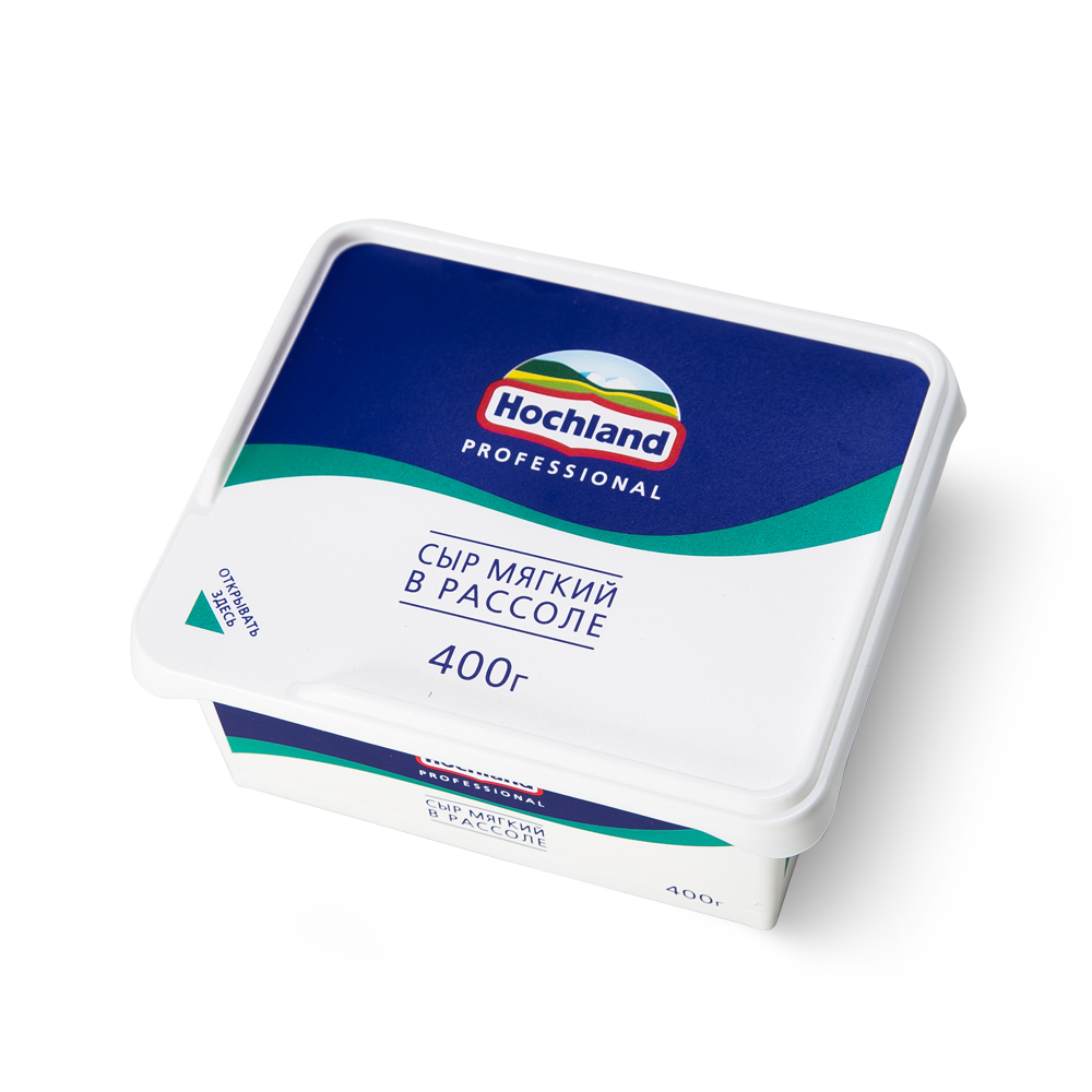 БЗМЖ СЫР ХОХЛАНД ПРОФЕССИОНАЛ МЯГКИЙ В РАССОЛЕ 400ГР