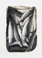 РЫБА СКУМБРИЯ НР С/М 300-600ГР /ВЕС РЫБА СКУМБРИЯ НР С/М 300-600ГР /ВЕС