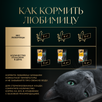 КОРМ ШЕБА ПЛЕЖЕР КУРИЦА/ИНДЕЙКА ПАУЧ 75ГР