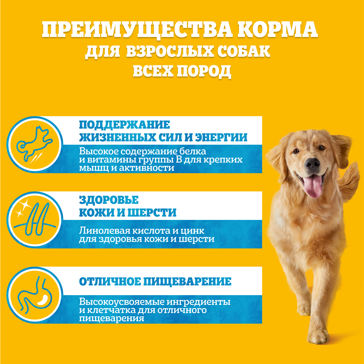 КОРМ ПЕДИГРИ ДЛЯ/ВЗР СОБАК ГОВЯДИНА ПАУЧ 85ГР КОРМ ПЕДИГРИ ДЛЯ/ВЗР СОБАК ГОВЯДИНА ПАУЧ 85ГР