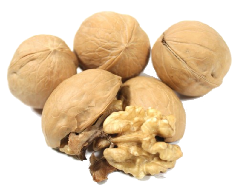 ГРЕЦКИЙ ОРЕХ В СКОРЛУПЕ /ВЕС