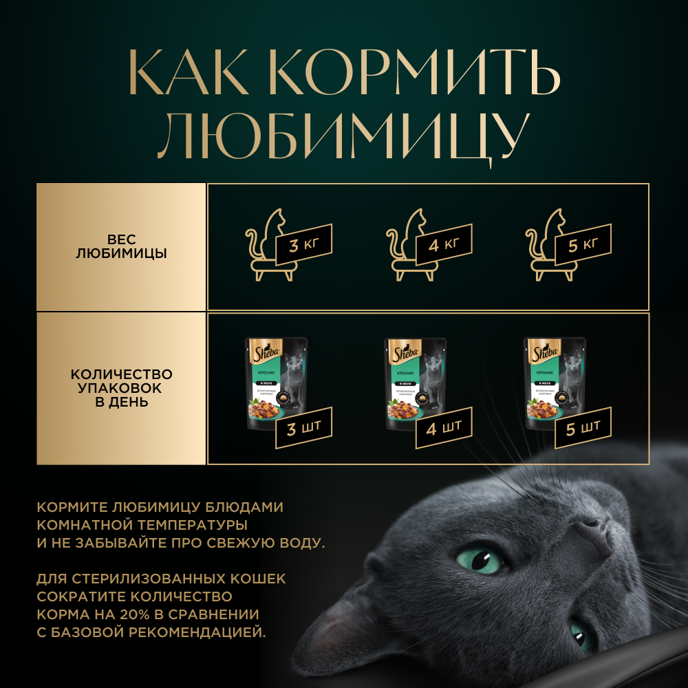 КОРМ Д/КОШЕК ШЕБА ПЛЕЖЕР КРОЛИК ПАУЧ 75ГР