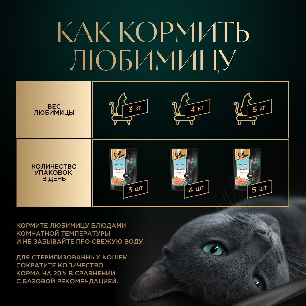 КОРМ Д/КОШЕК ШЕБА ПЛЕЖЕР ЛОМТ В СОУСЕ ЛОСОСЬ ПАУЧ 75ГР