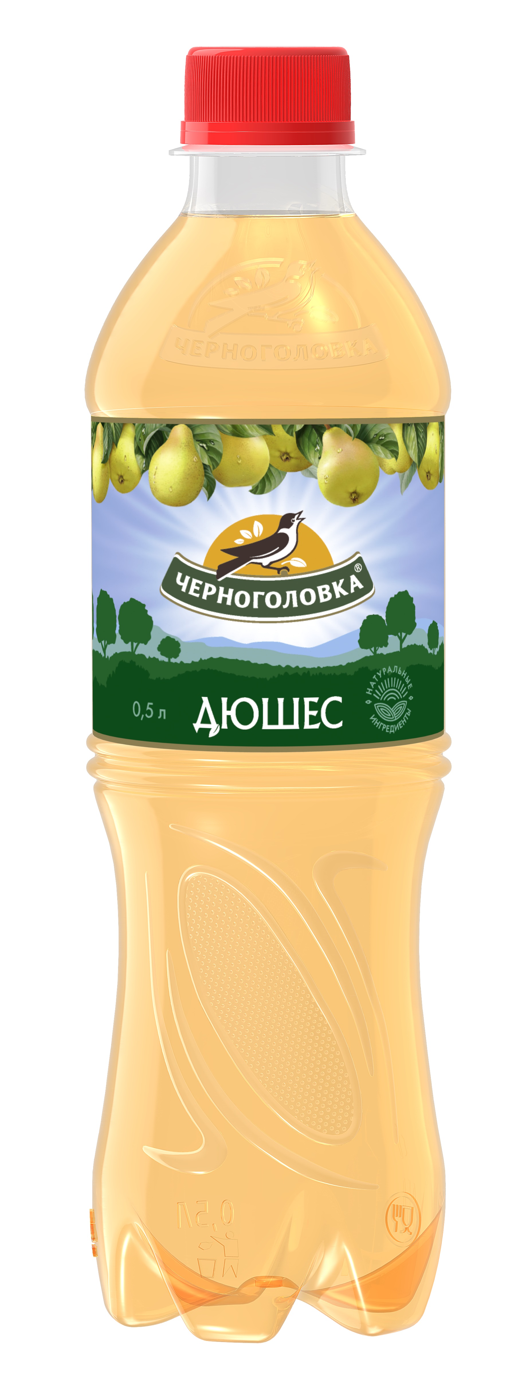 ЛИМОНАД ЧЕРНОГОЛОВКА ДЮШЕС 0,5Л ПЭТ