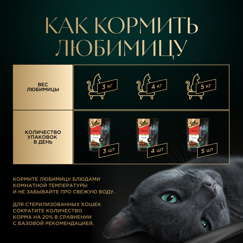 КОРМ Д/КОШЕК ШЕБА ПЛЕЖЕР ГОВЯДИНА В СОУСЕ ПАУЧ 75ГР