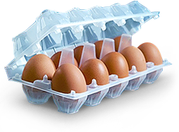 ЯЙЦО КУРИНОЕ С1 10ШТ БОКС