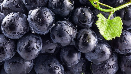 ЧЕРНАЯ СМОРОДИНА ЗАМ /ВЕС