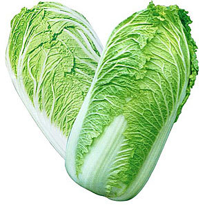 КАПУСТА ПЕКИНСКАЯ РОССИЯ