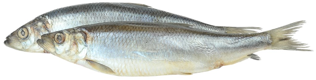 РЫБА СЕЛЬДЬ ОЛЮТОРСКАЯ Т/О С/С 400+  ЭЙС