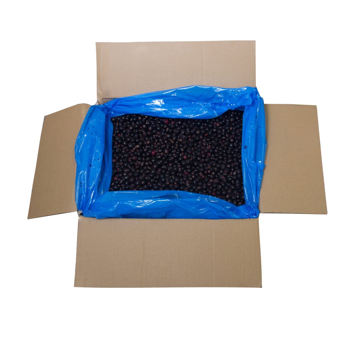 ЧЕРНАЯ СМОРОДИНА ЗАМ /ВЕС