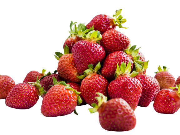 КЛУБНИКА СВЕЖАЯ /ВЕС