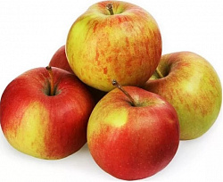 ЯБЛОКИ СЕЗОННЫЕ /ВЕС