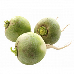 РЕДЬКА ЗЕЛЕНАЯ /ВЕС