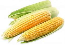 КУКУРУЗА В ПОЧАТКАХ ЗАМОРОЖ /ВЕС/