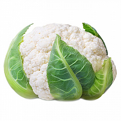 КАПУСТА ЦВЕТНАЯ/ВЕС