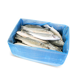 СИБАС Н/Р С/М ВЕС