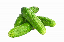 ОГУРЕЦ  КОЛЮЧИЙ /ВЕС