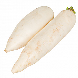ДАЙКОН/ВЕС