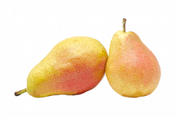 ГРУШИ АББАТ /ВЕС