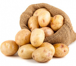 КАРТОФЕЛЬ НОВЫЙ УРОЖАЙ /ВЕС