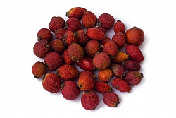 ШИПОВНИК /ВЕС