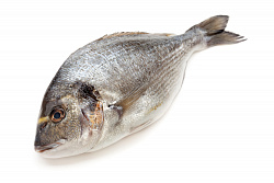 ДОРАДО Н/О С/М 300-400 IQF ЗАМ