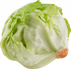 САЛАТ АЙСБЕРГ/ВЕС