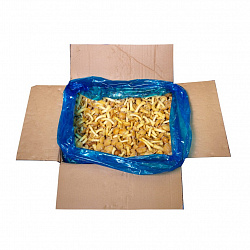 ГРИБЫ ОПЯТА ЗАМ /ВЕС