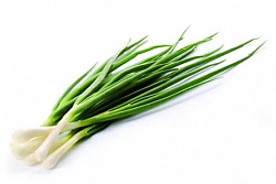 ЛУК ЗЕЛЕНЫЙ /ВЕС