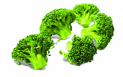 БРОККОЛИ ЗАМ /ВЕС