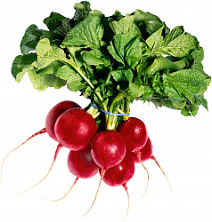 РЕДИС (ПУЧОК) 1ШТ