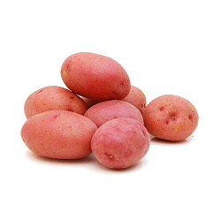 КАРТОФЕЛЬ НОВЫЙ УРОЖАЙ /ВЕС