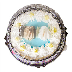 ТОРТ ЛЕБЕДИНОЕ ОЗЕРО ЛИРОНАС 500ГР