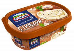 БЗМЖ СЫР ХОХЛАНД ПЛАВЛЕНЫЙ 200ГР ВАН ГРИБЫ