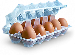 ЯЙЦО КУРИНОЕ С1 10ШТ БОКС