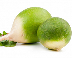 РЕДЬКА ЗЕЛЕНАЯ /ВЕС