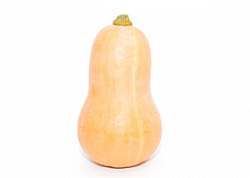 ТЫКВА БАТТЕРНАТ /ВЕС