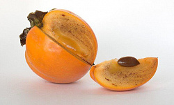 ХУРМА КОРОЛЕК